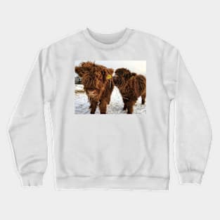 Scottish Highland Cattle Calves 1673 Crewneck Sweatshirt